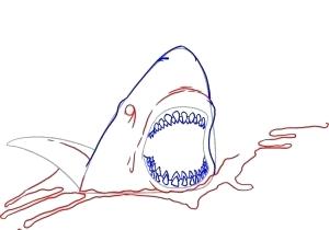 300x210 Easy Shark Drawings Truseli Club - Shark Drawing Step By Step