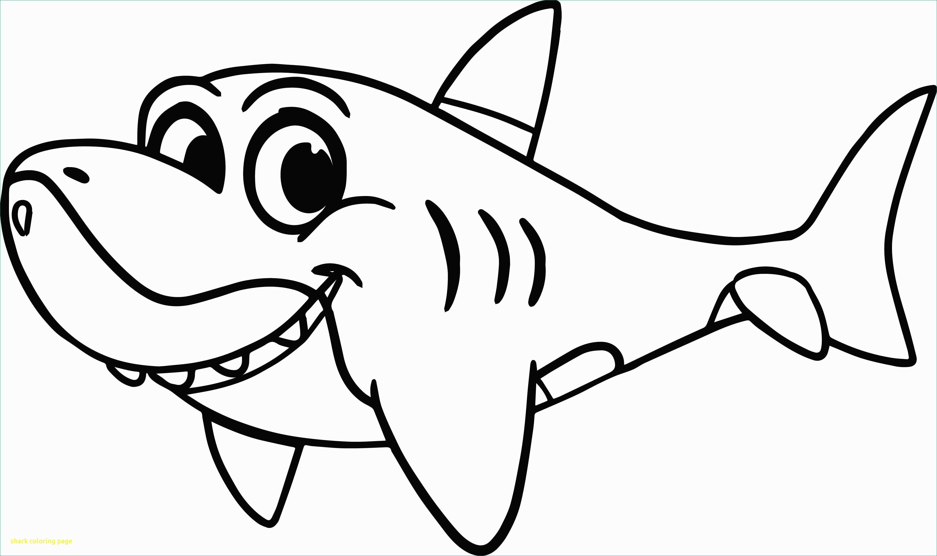 shark-drawing-template-at-paintingvalley-explore-collection-of
