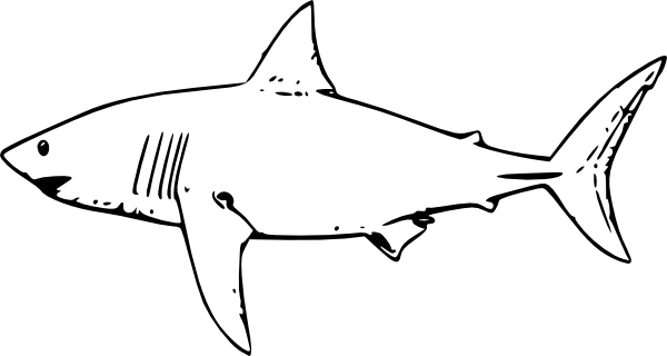 600x320 Shark Drawing Template - Shark Drawing Template