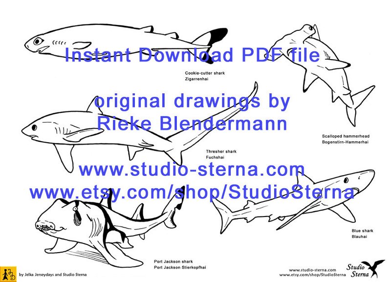 794x577 Shark Drawing Instant Download Pdf Hammerhead Great White Blue Etsy - Shark Drawing Template