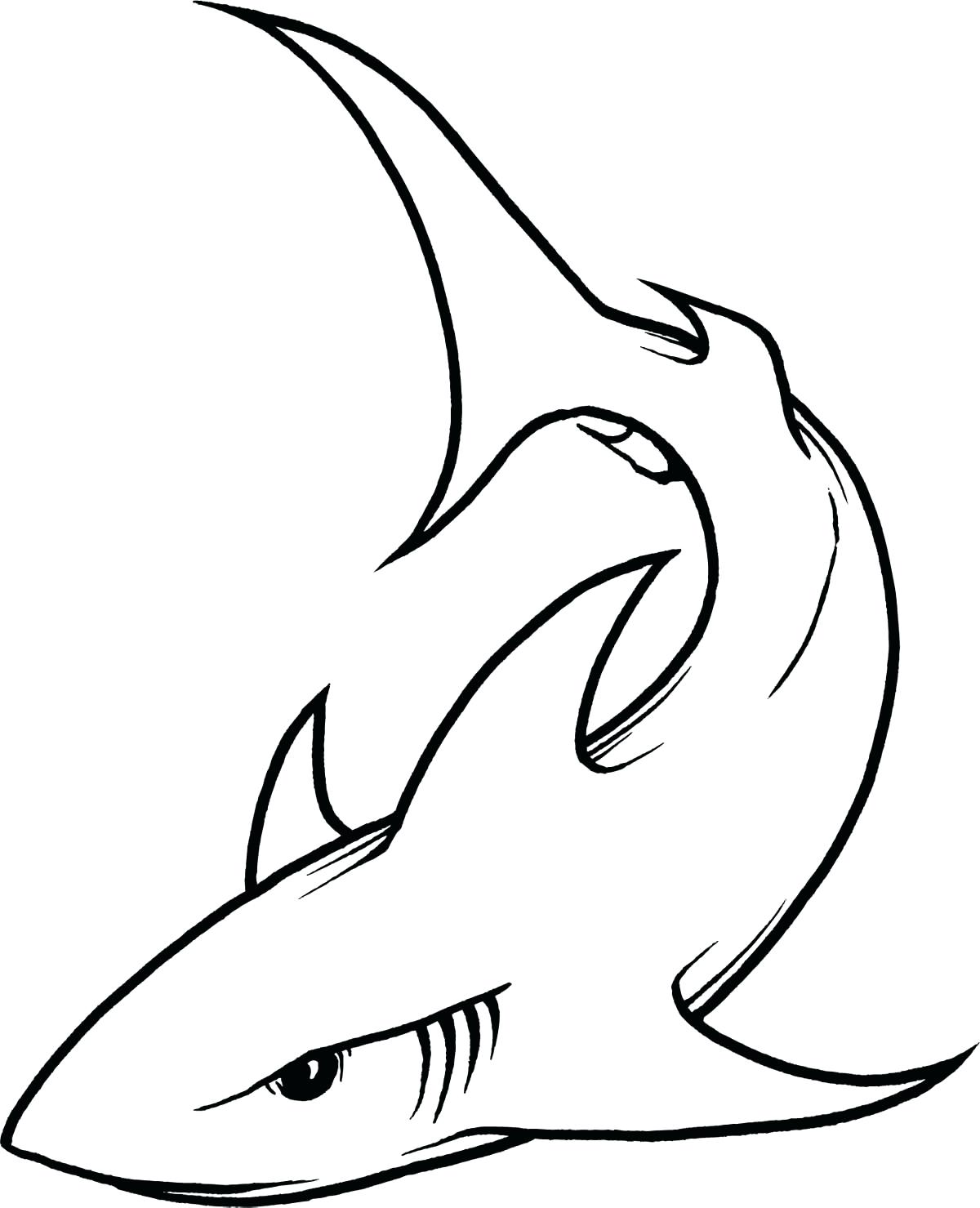 Shark Drawing Template at PaintingValley com Explore collection of
