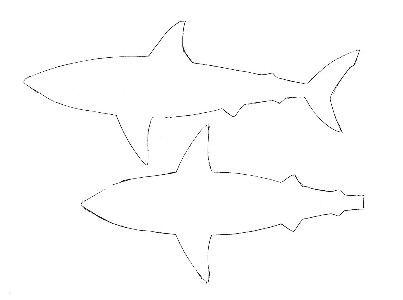 Shark Drawing Template at PaintingValley.com | Explore collection of ...