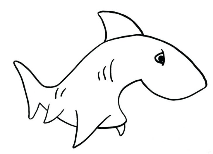 728x529 Coloring Pages Disney Printable Online Unicorn A Simple Drawing - Shark Drawing Template