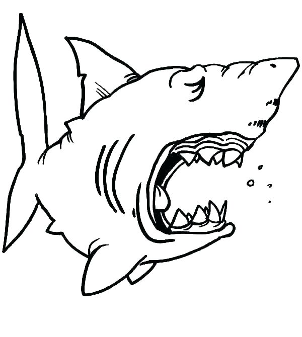 600x670 Drawn Line Shark Free Printable Fin Template Drawing Images - Shark Drawing Template