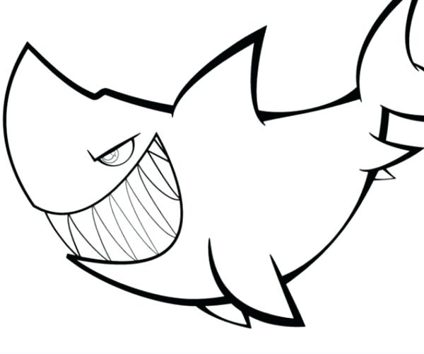 600x500 Great White Shark Drawing Template Whale - Shark Drawing Template