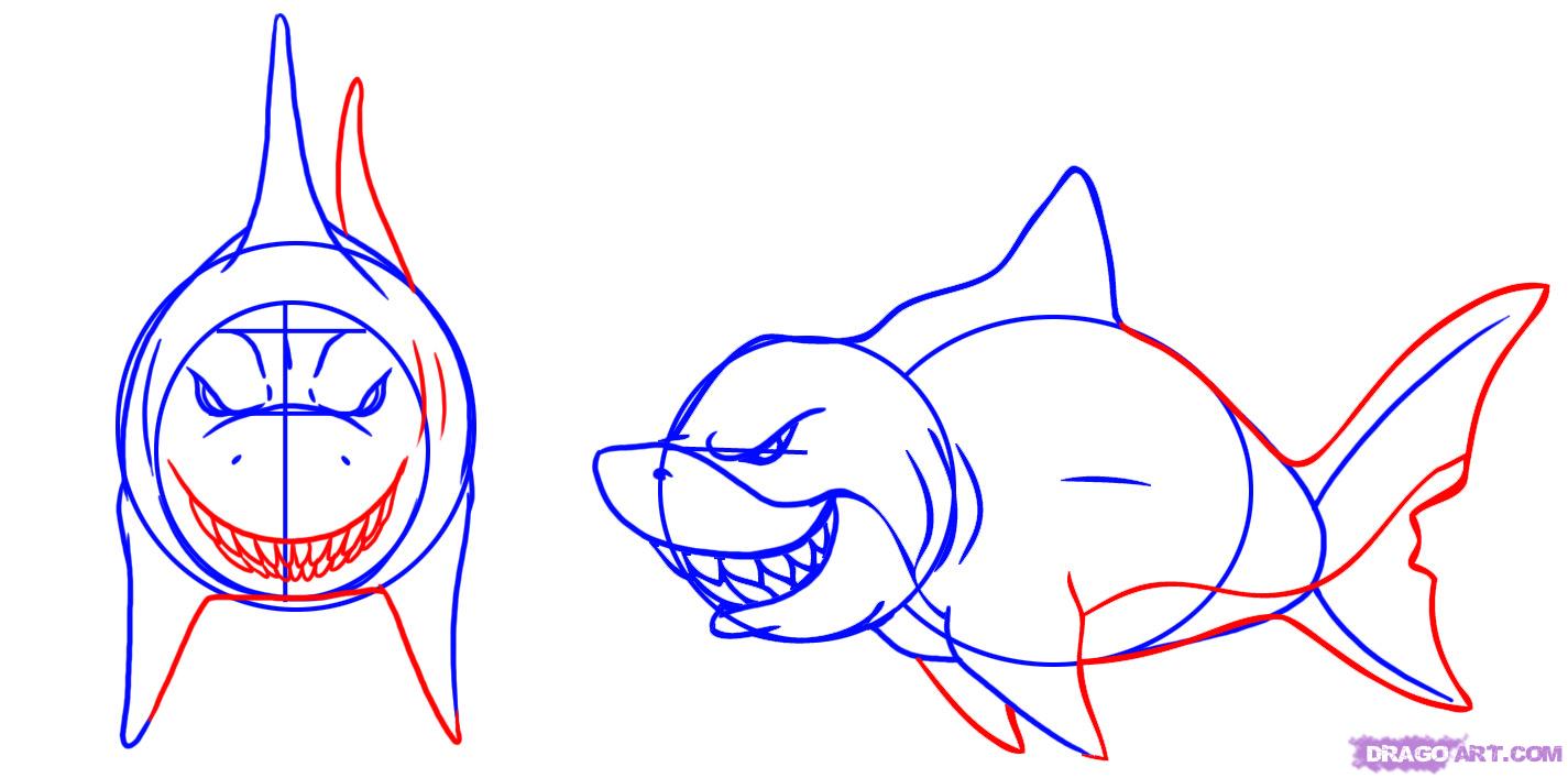 1425x707 How To Draw A Shark, Step - Shark Face Drawing
