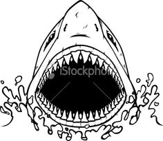 236x205 Best Summer Images Drawings, Paintings, Sharks - Shark Face Drawing