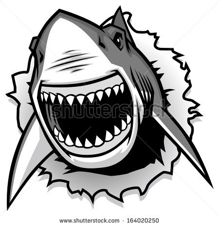 450x463 Shark Clipart Black And White - Shark Face Drawing
