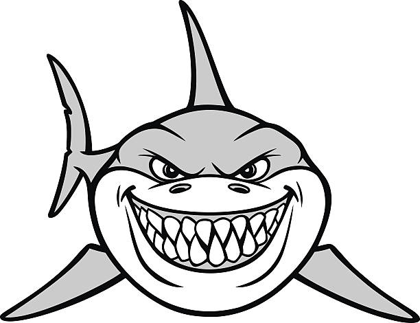 612x470 Shark Face Silhouette Great Free Clipart, Silhouette, Coloring - Shark Face Drawing