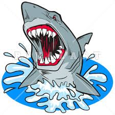 225x225 Shark Clipart - Shark Face Drawing