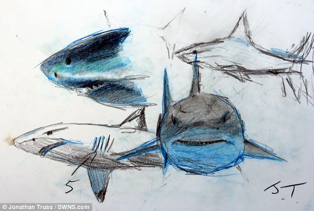 634x427 artist jonathan truss goes face to face with killer sharks so - Shark Face Drawing