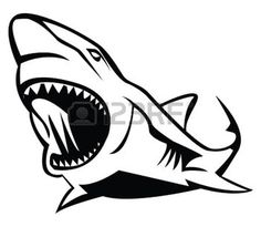236x205 best shark drawings images shark drawing, sharks, shark painting - Shark Head Drawing