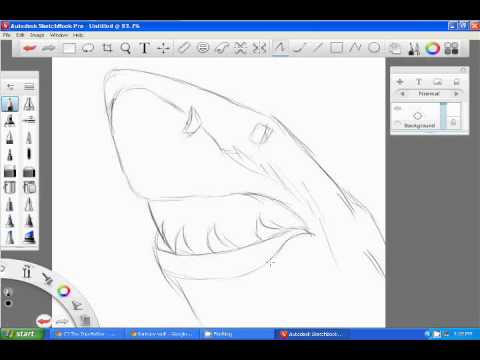 480x360 How To Draw A Quick Sketch Of A Shark Head - Shark Head Drawing