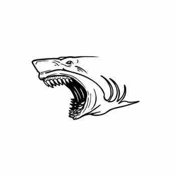 350x350 Shark Head Vinyl Sticker - Shark Head Drawing