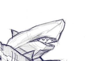 300x210 Easy Step - Shark Head Drawing