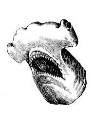 191x263 hammer head shark head drawing - Shark Head Drawing