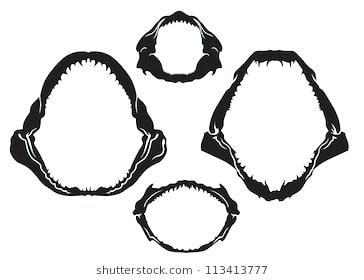 364x280 shark jaws outline mommycircle club - Shark Jaw Drawing