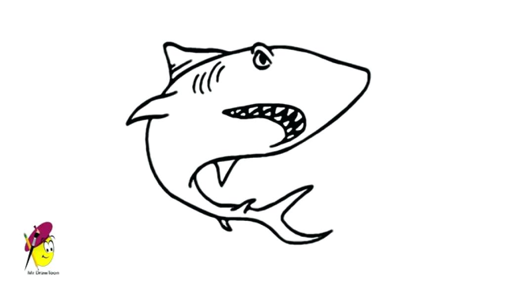 1024x576 drawing sea animals draw sea animals shark sea creatures - Shark Line Drawing