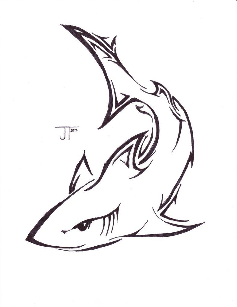 Shark Line Drawing at PaintingValley.com | Explore collection of Shark