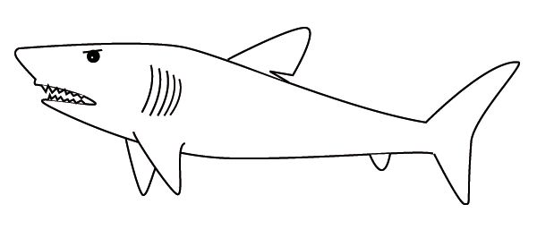 600x276 Shark Line Drawing Taurons Tatuajes De Tiburones, Tiburones - Shark Line Drawing