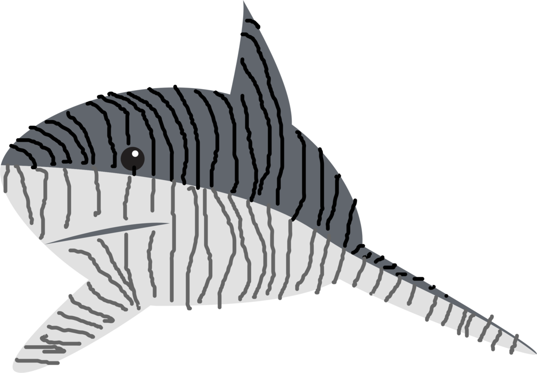 1078x750 tiger shark drawing line art great white shark cc0 - Shark Line Drawing