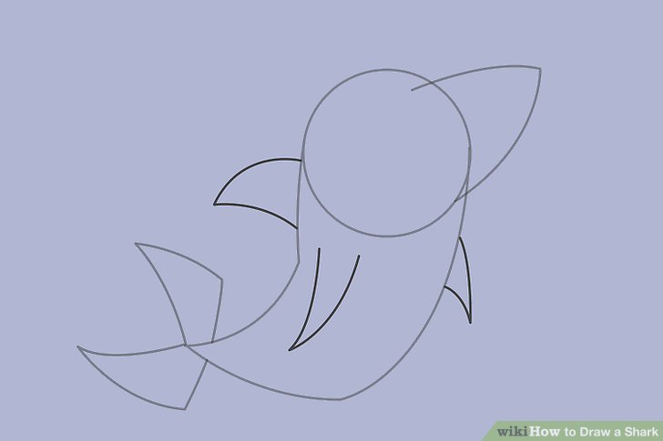728x485 Ways To Draw A Shark - Shark Line Drawing