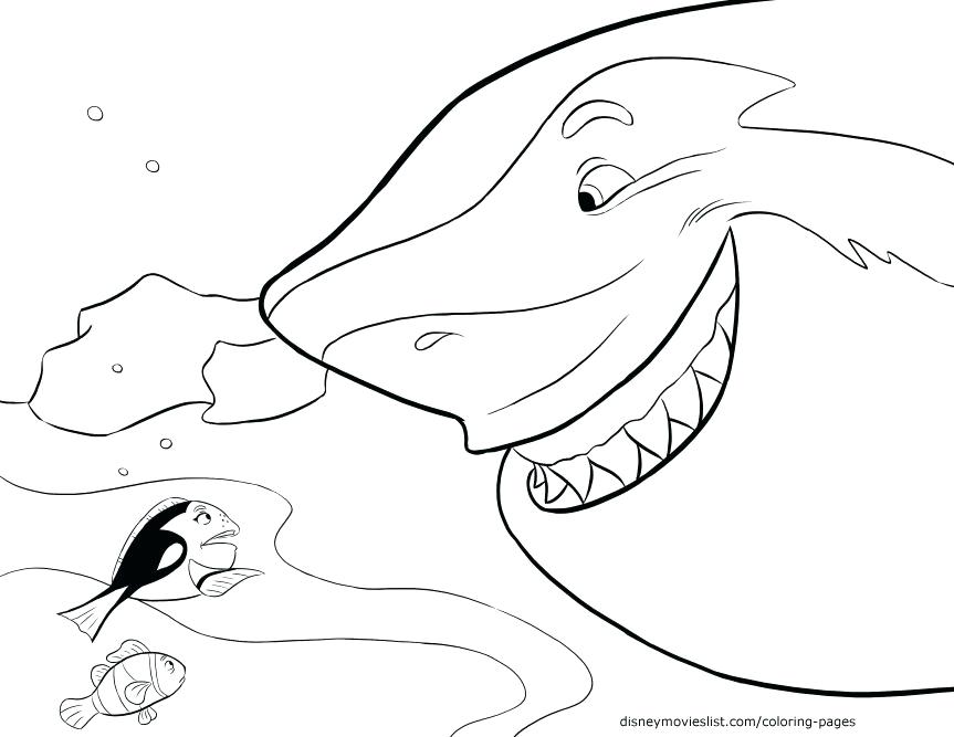 863x667 Huge Collection Of 'shark With Mouth Open Drawing' Download More - Shark Mouth Drawing