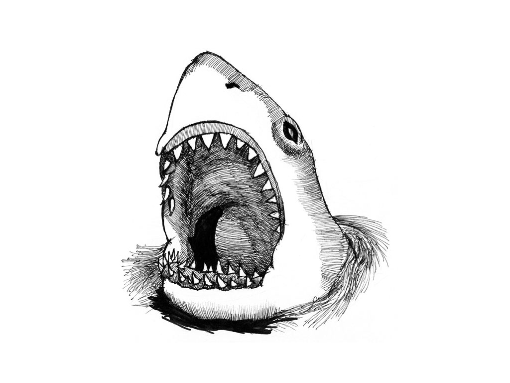 Shark Mouth Drawing at Explore collection of Shark