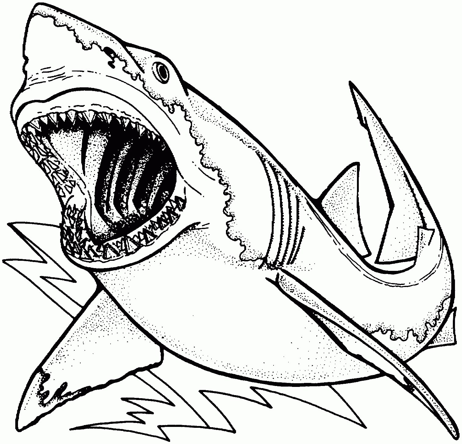 1513x1454 Shark Mouth Coloring Page - Shark Mouth Drawing