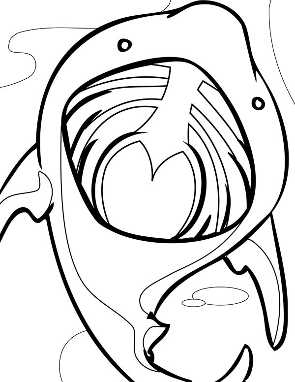 600x776 Shark With Mouth Open Coloring Page - Shark Mouth Drawing