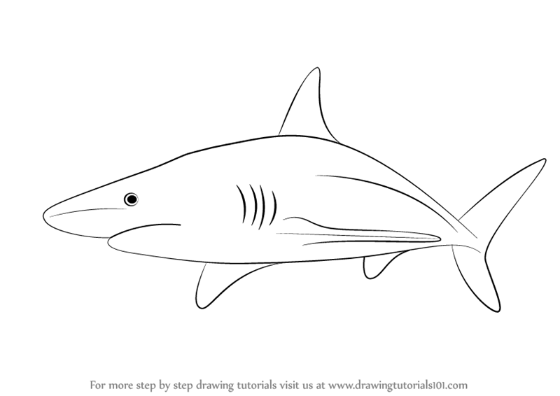 Рисунок акулы в паинте