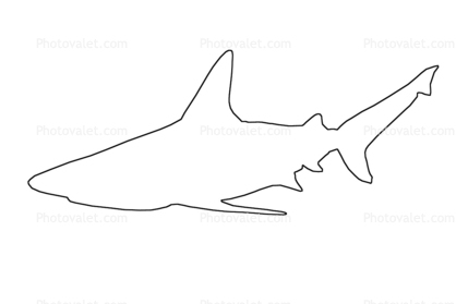 418x279 Shark Outline, Line Drawing Images, Photography, Stock Pictures - Shark Outline Drawing