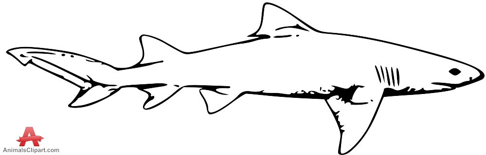 Shark Outline Drawing at PaintingValley.com | Explore collection of ...