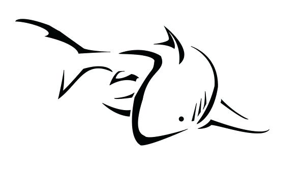 600x343 Shark Outlines Great White Shark Outline Drawing Profilm Club - Shark Outline Drawing
