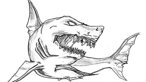 585x329 Sharks Coloring Pages Realistic - Shark Outline Drawing
