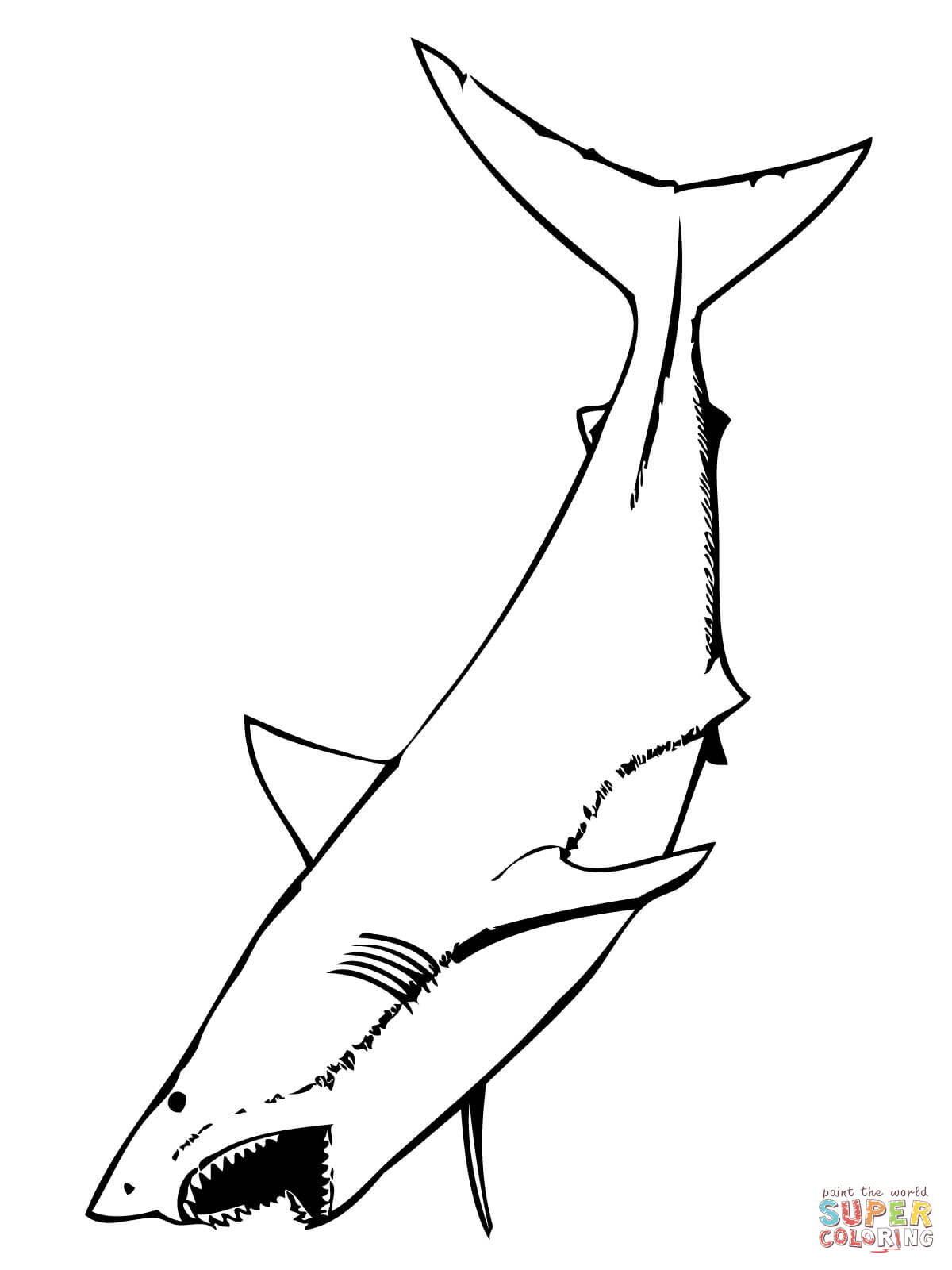 1200x1600 great white shark outline great white shark with mouth open - Shark Outline Drawing