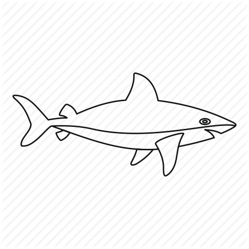 512x512 Drawing Shark Outline Transparent Png Clipart Free Download - Shark Outline Drawing