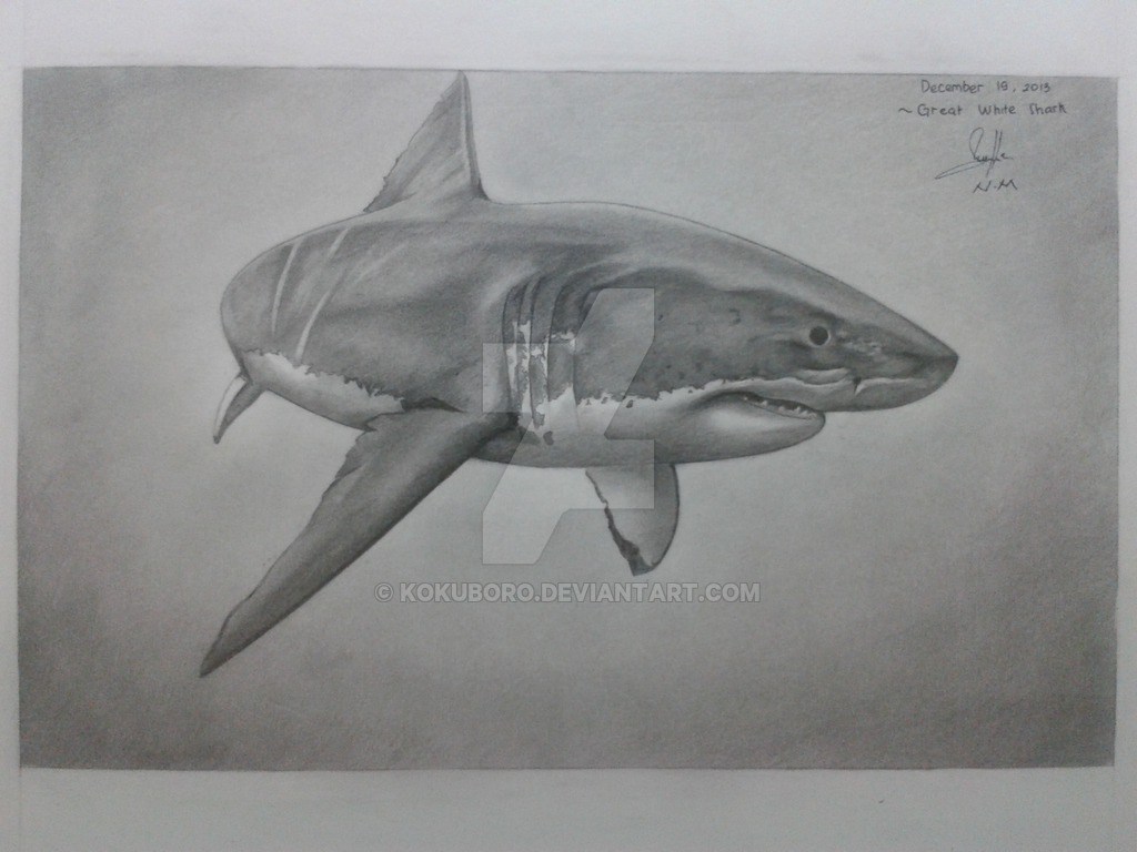 1024x768 shark drawing in pencil great white shark breaking through paper - Shark Pencil Drawing