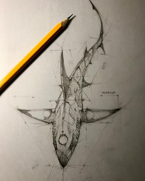 600x750 Shark Pencil Sketch - Shark Pencil Drawing