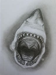 190x253 afbeeldingsresultaat voor shark pencil drawing a c pencil - Shark Pencil Drawing