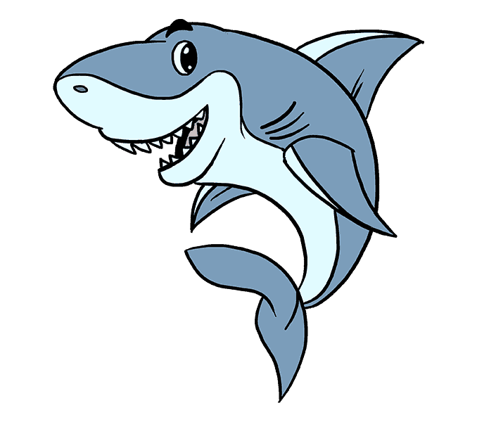 678x600 How To Draw A Cartoon Shark Easy Step - Shark Pictures Drawing