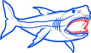 302x177 how to draw how to draw megalodon, megalodon shark - Shark Pictures Drawing