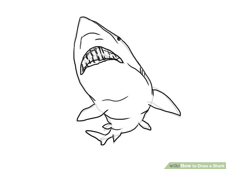 728x546 Ways To Draw A Shark - Shark Pictures Drawing