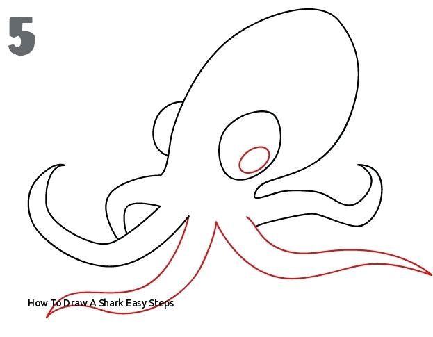 623x485 Easy Shark Easy Shark Drawing Steps Cameronblack Club - Shark Simple Drawing