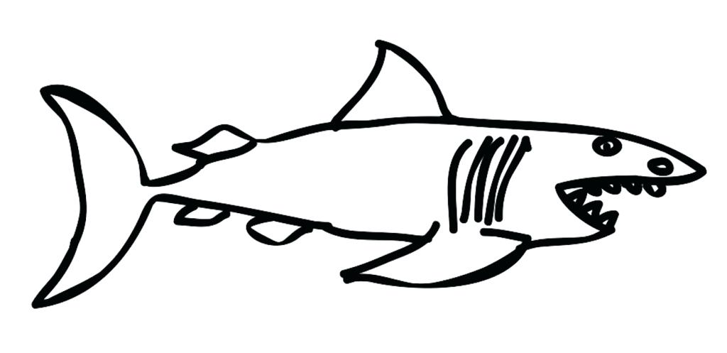 1024x497 How To Draw A Shark Simple Drawing Of A Shark How To Draw A Cool - Shark Simple Drawing