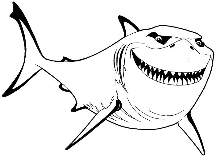 700x509 How To Draw Bruce From Finding Nemo With Simple Steps Lesson How - Shark Simple Drawing