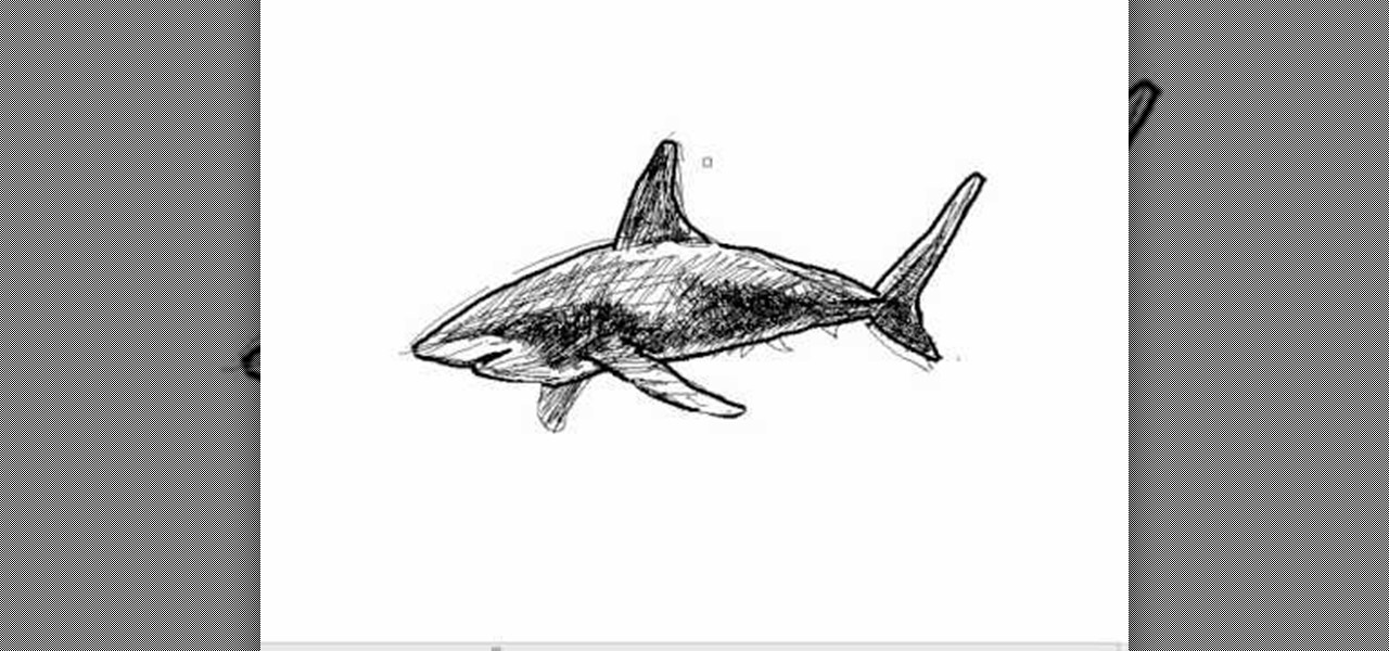 1280x600 How To Draw A Simple Shark Drawing Illustration - Shark Simple Drawing