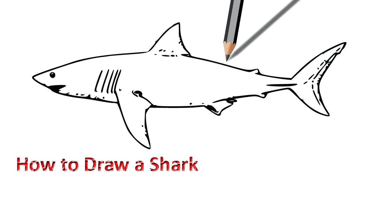 1280x720 May Gotopshops Club - Shark Simple Drawing