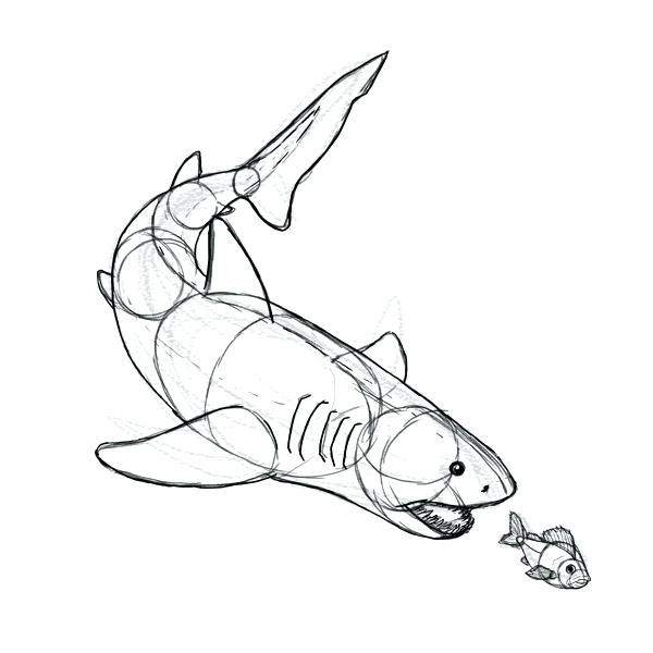 600x600 simple drawing fish draw shark simple fisherman drawing - Shark Simple Drawing