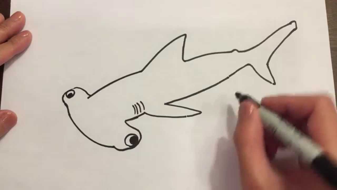 1280x720 Draw A Hammerhead Shark - Shark Simple Drawing